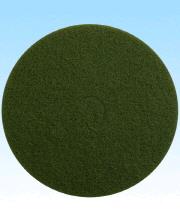 Rental store for Pad, 20  Green  heavy clean in Mount Vernon WA