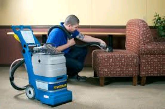 Where to find Carpet Cleaner Extractor 5 Star in Mount Vernon