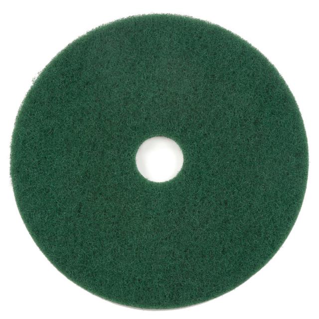 Rental store for Pad, 17  Green  Heavy Clean in Mount Vernon WA