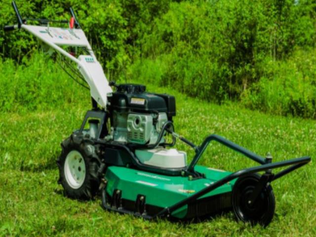 Rental store for Mower, Field in Mount Vernon WA