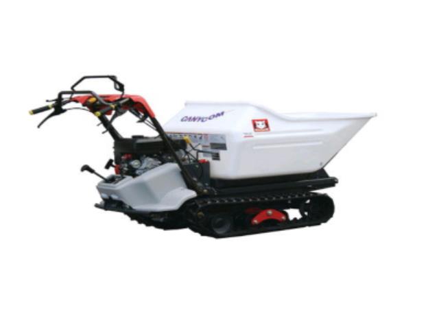 Rental store for Buggie - Tracks Walk, 1000 lb Cap. in Mount Vernon WA