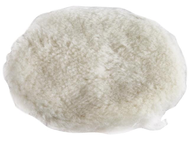 Rental store for Polisher Pad - Wool in Mount Vernon WA