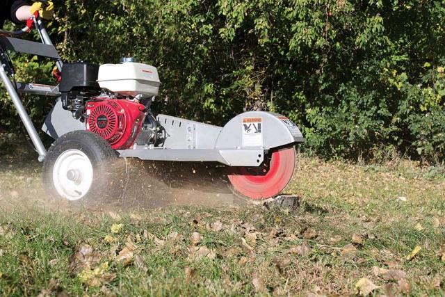 Where to find Stump Grinder, Small Gas in Mount Vernon