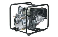 Rental store for Pump, Semi-Centrifugal 2  Gas in Mount Vernon WA