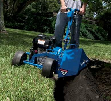 Rental store for Edger, Bed - Gas Bed Bug in Mount Vernon WA